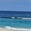 Bobbi Dunlap - @bobbi.dunlap - TikTok