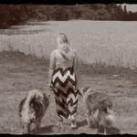 My Dogs Are My Everything - @bobbie.earl33 - Instagram