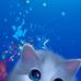 Bobbi Foster - Facebook