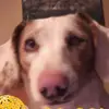 Bobbie Foster - @bobbie.foster1 - TikTok