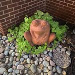 Bobbie Foster - @bobbie.foster.58 - Instagram