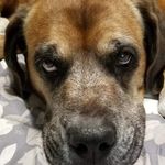 Bobbie Foster Adams - @bfoster4712 - Instagram