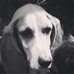Bobbie Foster Kirkman - @bobbie_foster_kirkman - Instagram