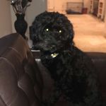 Bobby Goddard - @bobby_goddard_ - Instagram