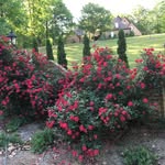 Bobbie Jo Gregg - @bobbie.gregg.77 - Instagram