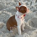 Bobbie Hackett - @dyslexiadash - Instagram