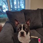 Bobbie Hamilton - @bobbiehamilton64 - Instagram