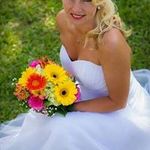 Bobbie Grady Hansen - @bobbiehansen67 - Instagram