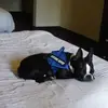Bobbie Hicks - @bobbie.hicks - TikTok