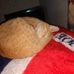 Bobby Hines - Facebook