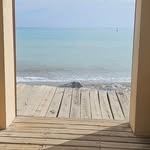 Bobbie Howard - @bobbiehoward656 - Instagram