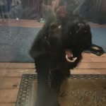 Bobby Jarrell - @jarrell4930 - Instagram