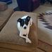 Bobbie Kay - Facebook