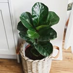 Bobbie Kay - @bobbie.kay.1675 - Instagram