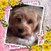 Bobbie Kent - Facebook