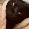 Bobbielane - @bobbielane22 - TikTok