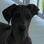 Bobbie - @bobbie__leach - Instagram
