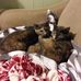 Bobbie McGrath - Facebook