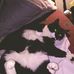 Bobbie Olson - Facebook