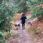 Bobbie Olson - @bobbie_sue_olson - Instagram