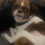 Bobbie Day - @bobbie.potter.940 - Instagram