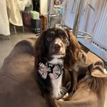 Bobby Stringer - @cockabob - Instagram