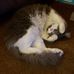 Bobbie Sutton - Facebook