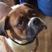 Bobbi Waldron - Facebook
