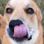 Bobbie Jo Wells - @bbq_queen07 - Instagram