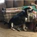 Bobbie Wiley - Facebook