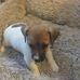Bobbie Wiley - Facebook