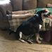 Bobbie Wiley - Facebook