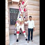 Bobby Willard - @ravi_ndra_king_of_india - Instagram