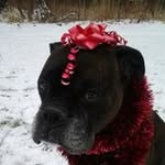 Bobbie Ackerman - @ackermanbobbie - Instagram