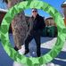 Bobby Aragon - Facebook