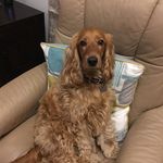 Bobby Bagley - @bobby_bagley14 - Instagram