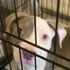 bobbybailey01 - @bobby.bailey92 - TikTok