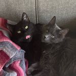 Bobby&Bailey - @bobbyandbailey - Instagram