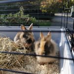 Bobby&Bailey - @bobbybailey0710 - Instagram