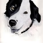 Bobby Barrington - @bobbybarrington - Instagram