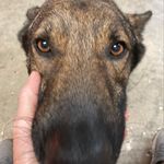 Bobby Bates - @bobby.bates.73 - Instagram