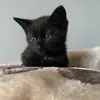 Bobby Bean - @bobby.bean67 - TikTok
