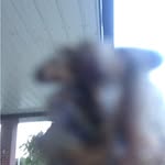 bobby bean - @bobbycicadabean - Instagram