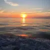 bobbybeeler44 - @bobbybeeler44 - TikTok