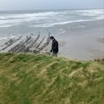 @bobbybirdies - Instagram