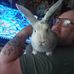 Bobby Borg - Facebook