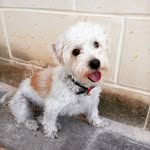 Bobby Borg Duca - @bobbyborgduca - Instagram