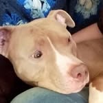 Bobby Boyer - @bobbyboyer - Instagram