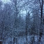 Bobby Boyles - @b0bbyboyles - Instagram