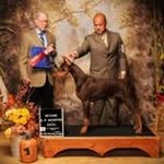 Bob Brace - @bobbrace - Instagram